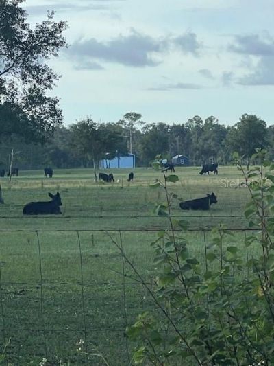 1117 Piney Woods Trail, Osteen, FL 32764 Photo