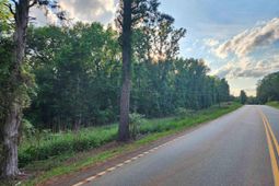 13294 State Hyw 215 South Highway S photo 4