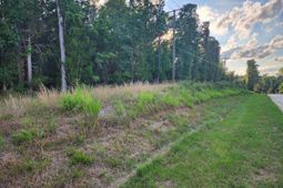 13294 State Hyw 215 South Highway S photo 4