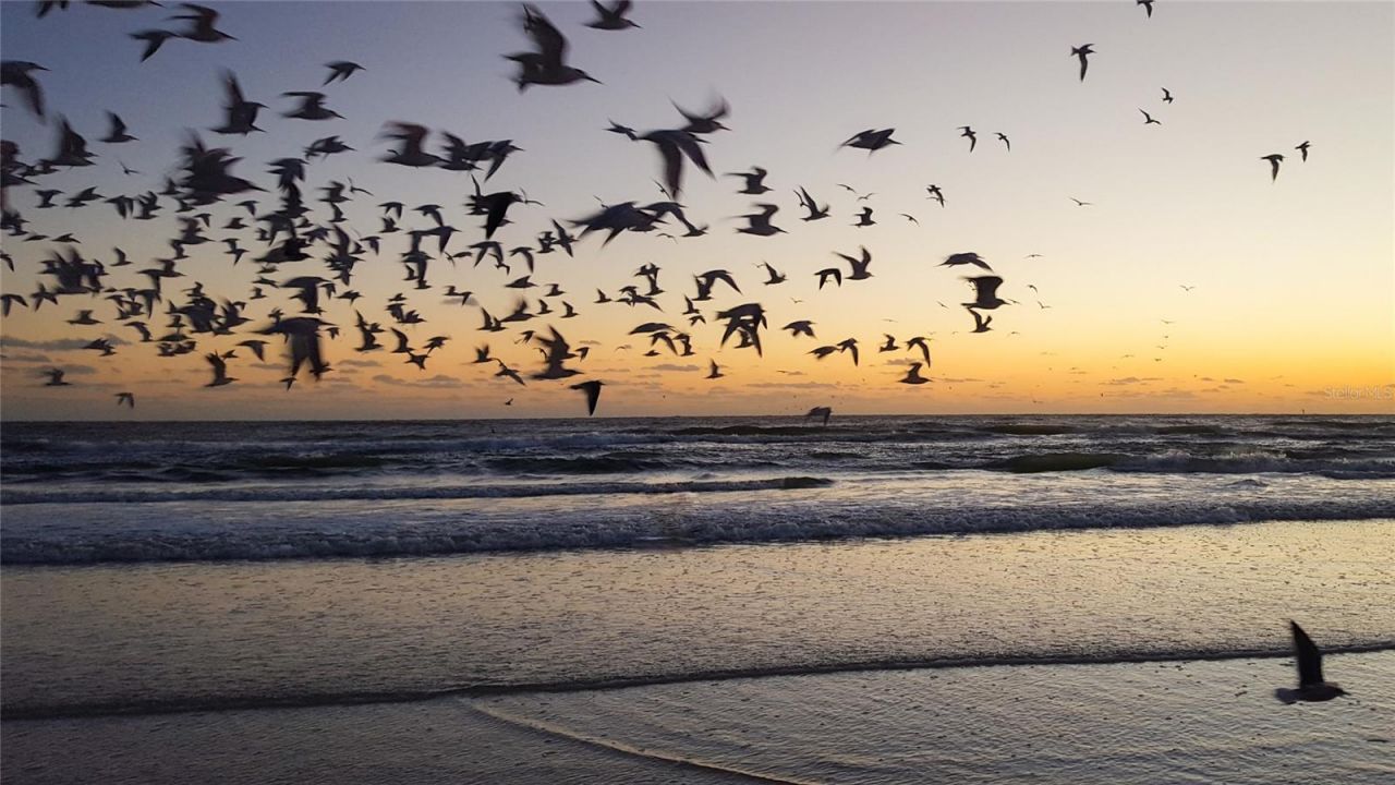 7149 Fairway Bend Circle, Sarasota, FL 34243 Photo