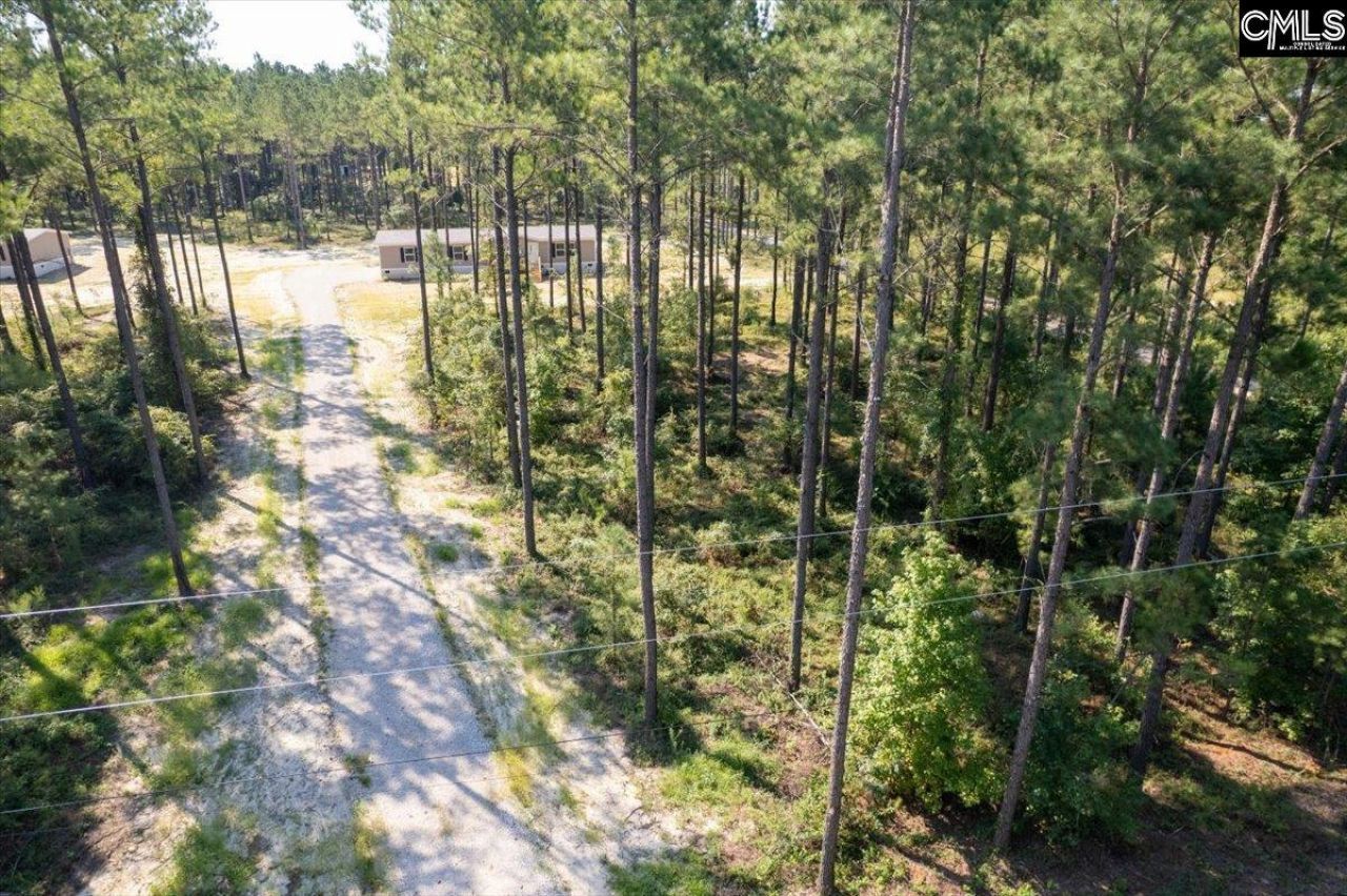 762 White Pond Road Photo 23