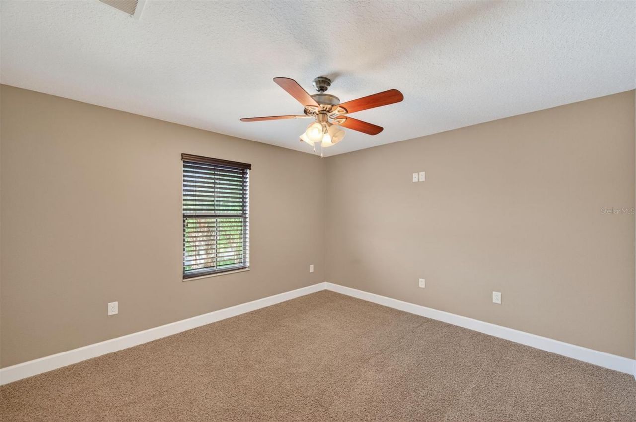 1120 Maza Place, Trinity, FL 34655 Photo