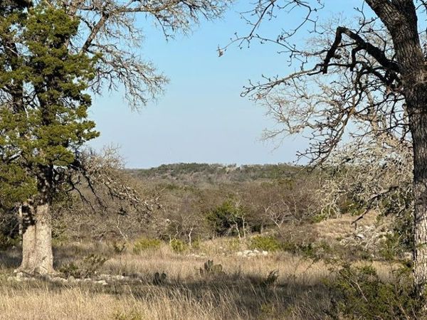 Lot 59 Cliff View, Harper, TX 78631