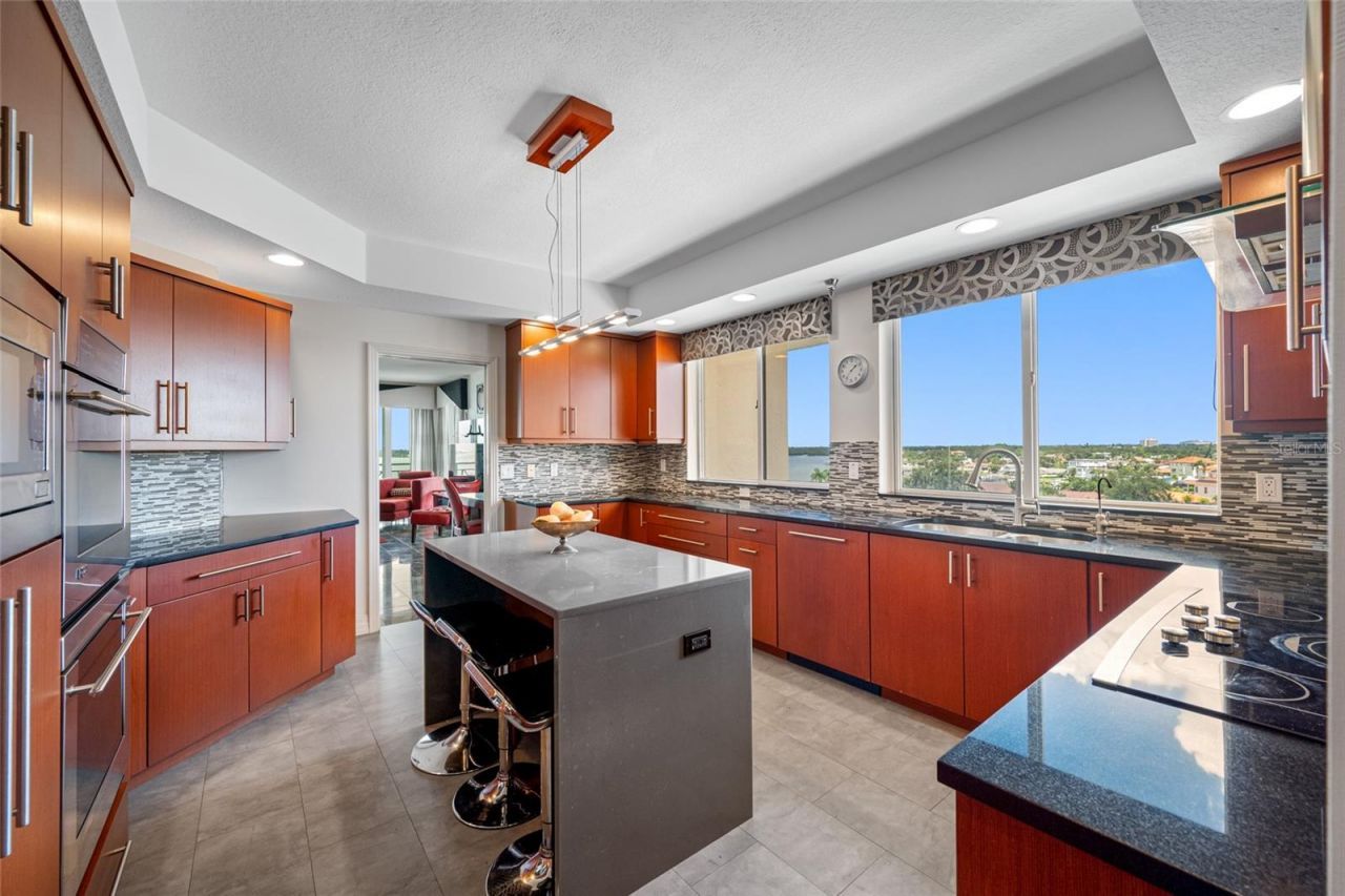 4717 Dolphin Cay Lane S, Unit 608, Saint Petersburg, FL 33711 Photo