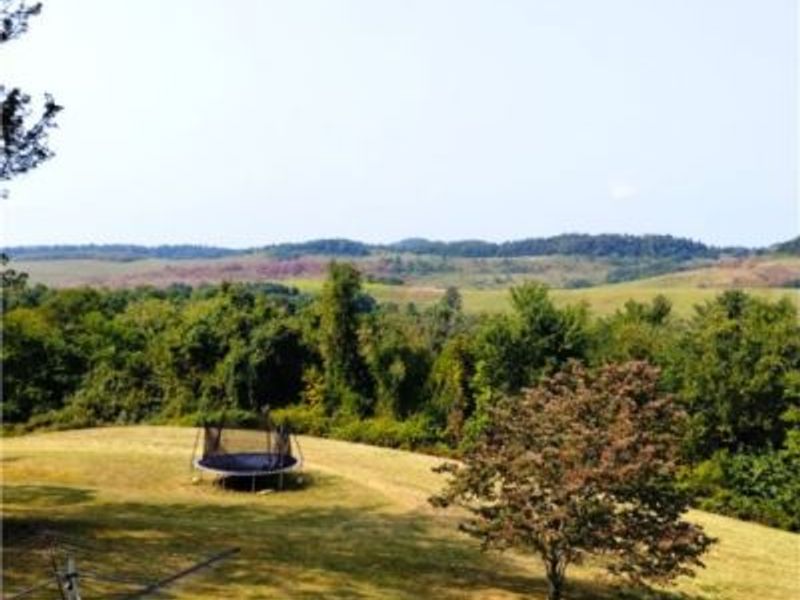 61900 Fairview Road, Barnesville, OH 43713 Photo 32