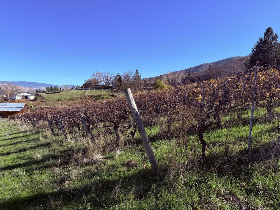 Property Image 61