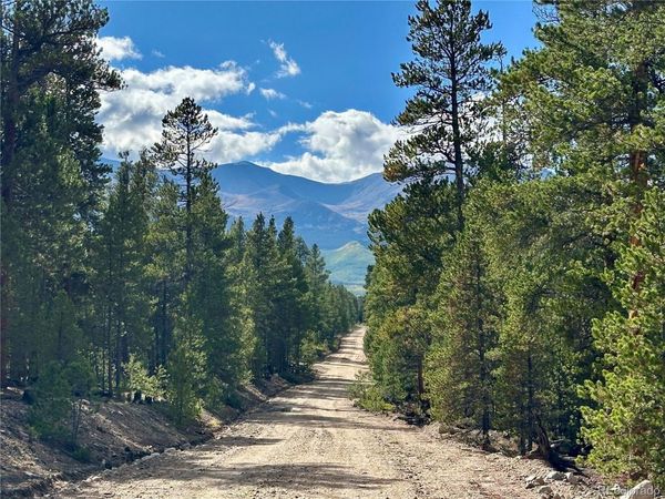 143 Fir Drive, Leadville, CO 80461