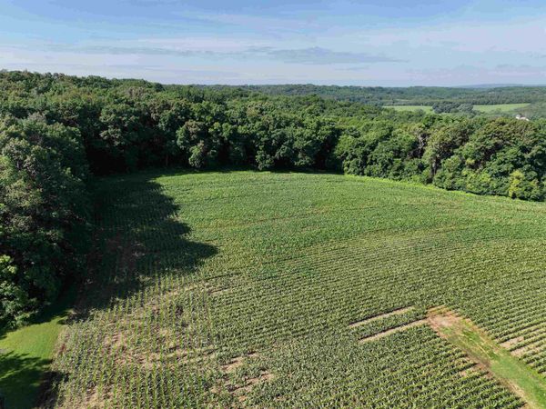 21.99 Observatory Road, Cross Plains, WI 53528