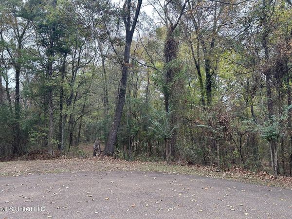 Westminster Court, Madison, MS 39110