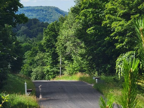 Maxey Road, Unit 7.2 acres, Arcadia, MI 49613