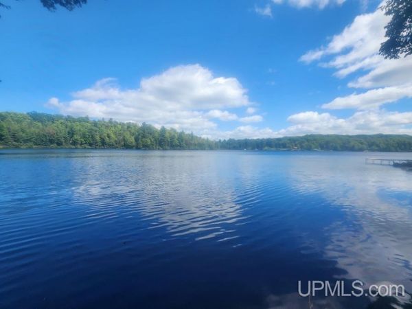 TBD W Tamarack Lake Road, Watersmeet Twp, MI 49969