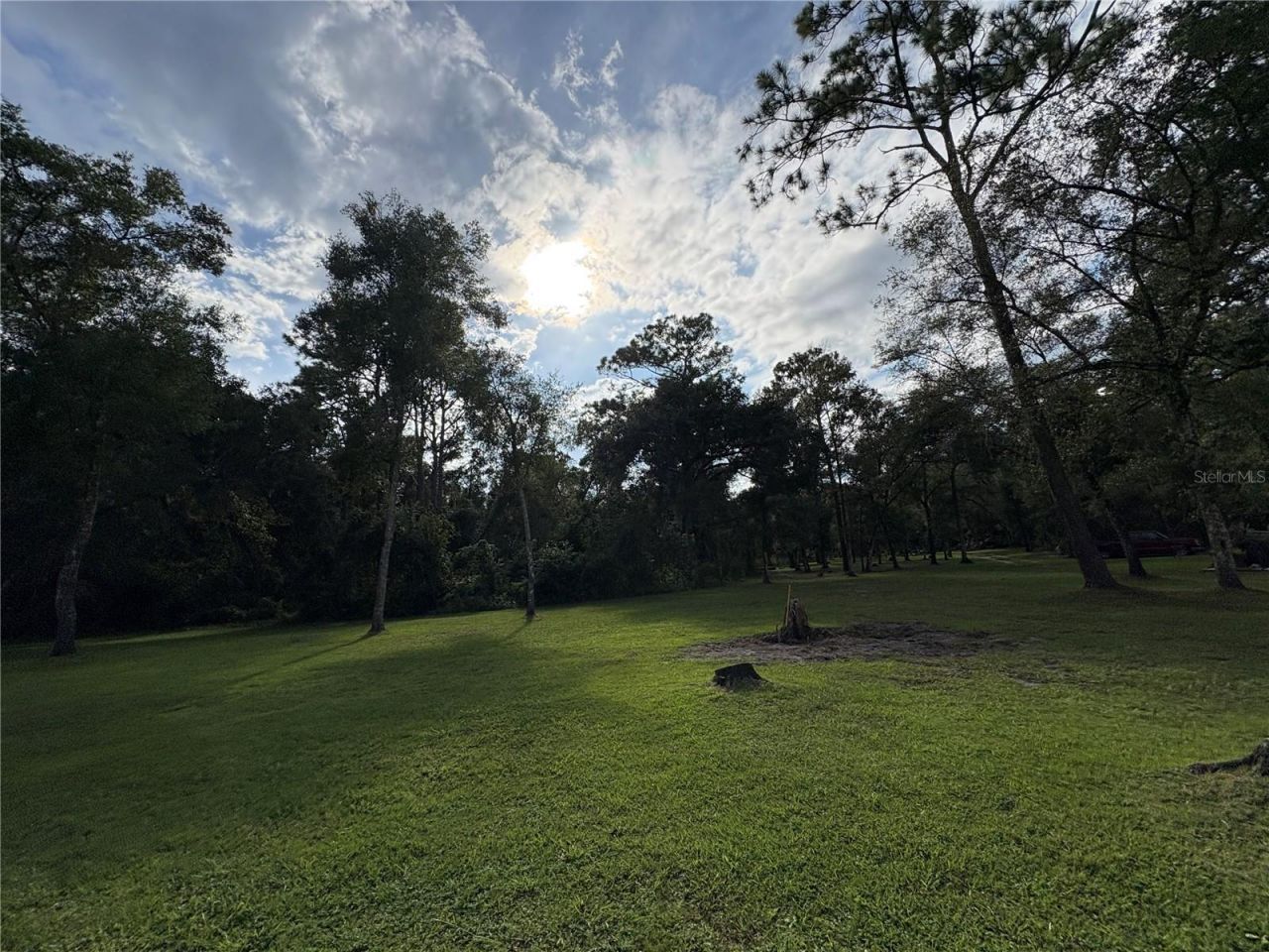 Lucilles Shady Lane, Nobleton, FL 34661 Photo