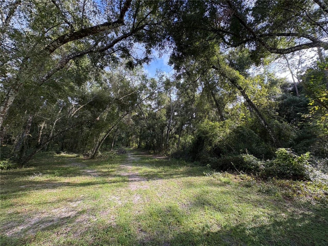 Lucilles Shady Lane, Nobleton, FL 34661 Photo