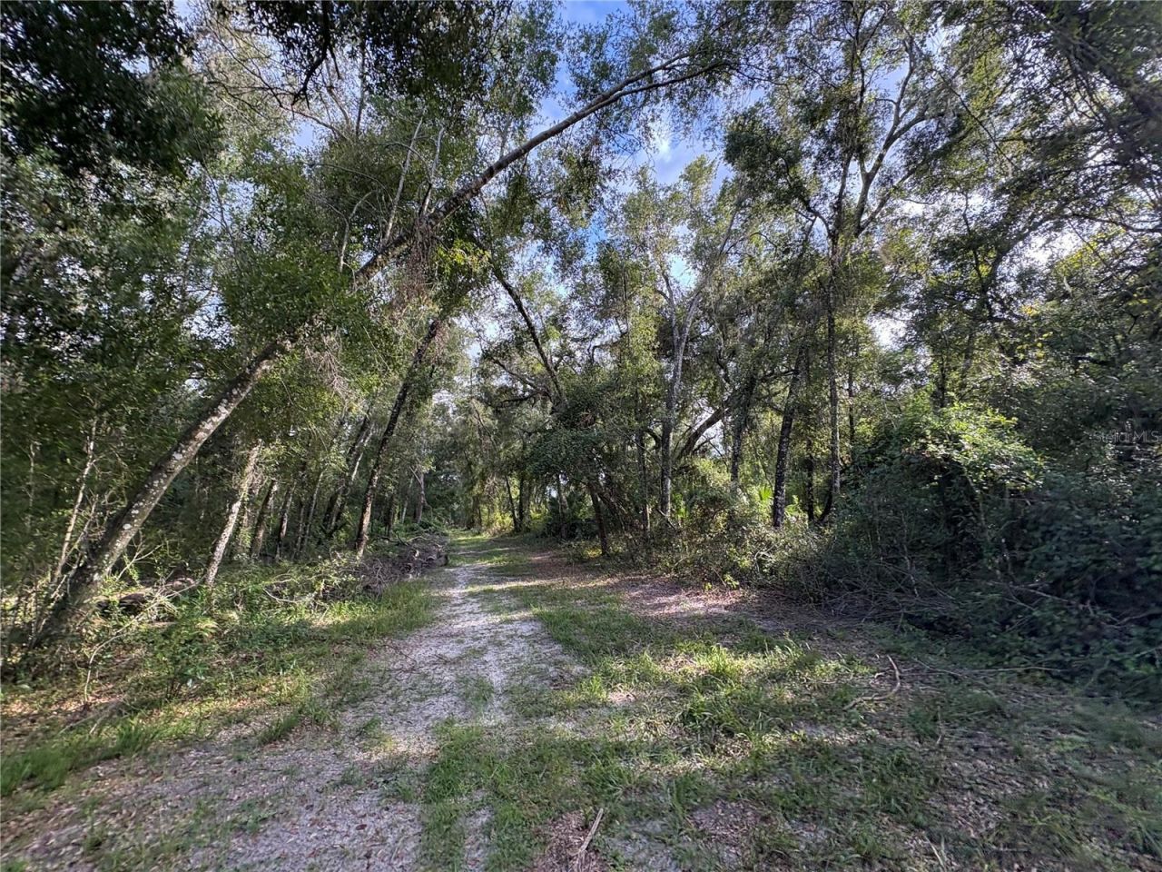 Lucilles Shady Lane, Nobleton, FL 34661 Photo