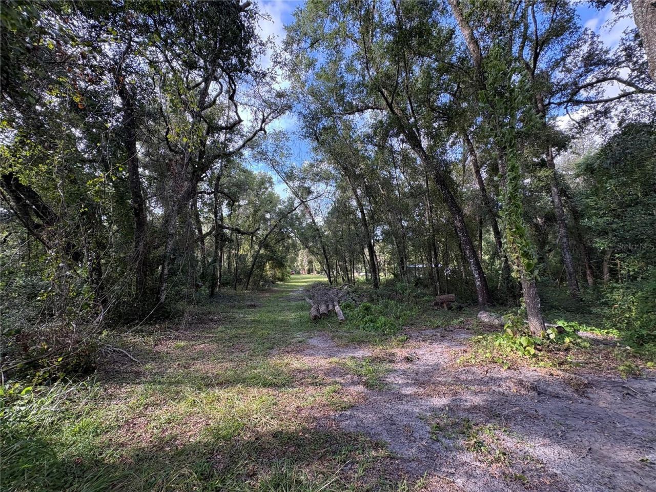 Lucilles Shady Lane, Nobleton, FL 34661 Photo