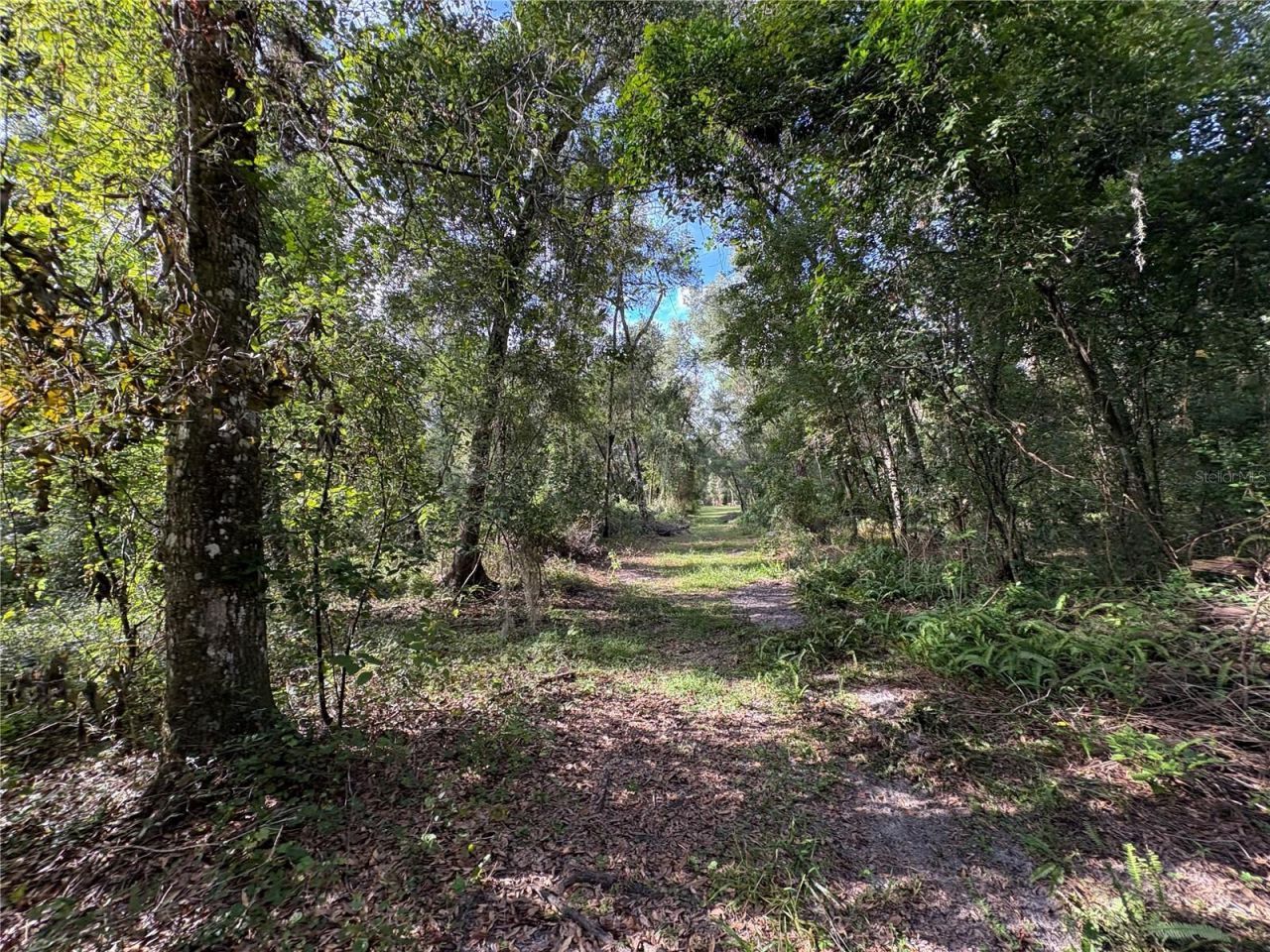 Lucilles Shady Lane, Nobleton, FL 34661 Photo