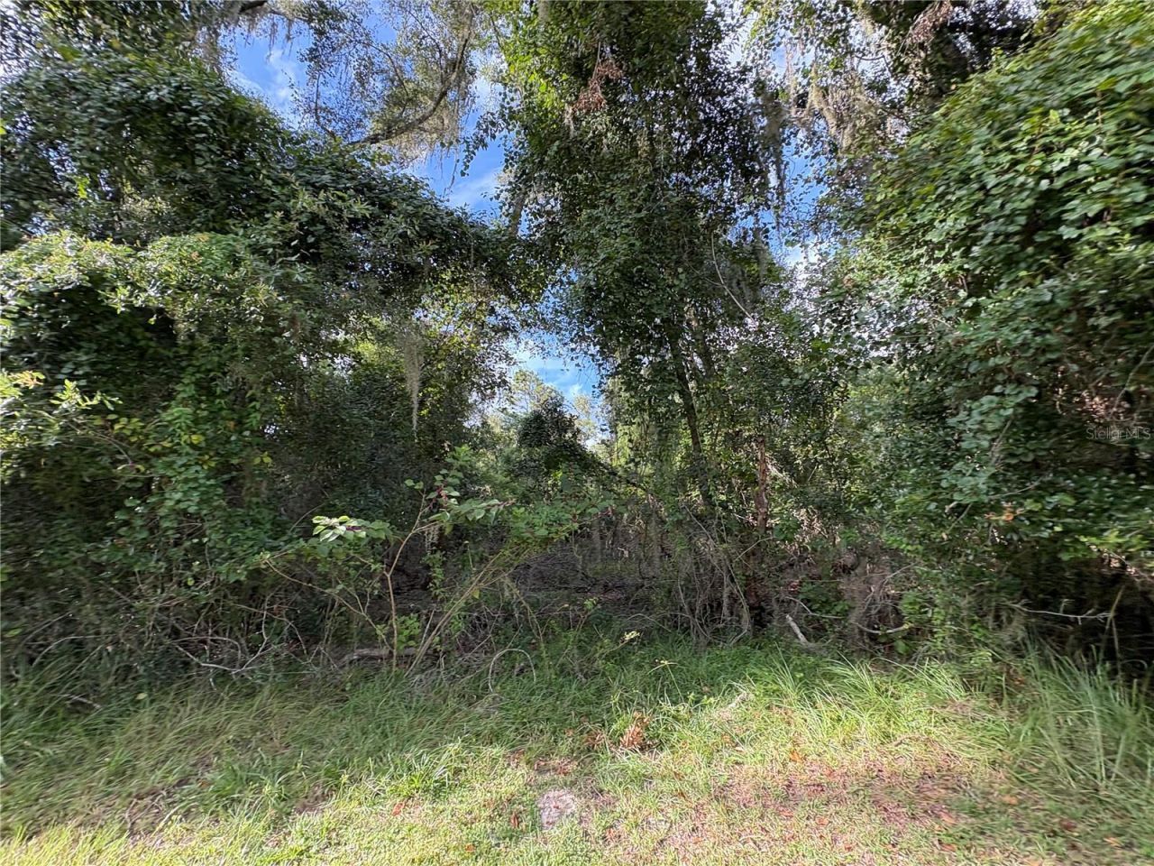 Lucilles Shady Lane, Nobleton, FL 34661 Photo