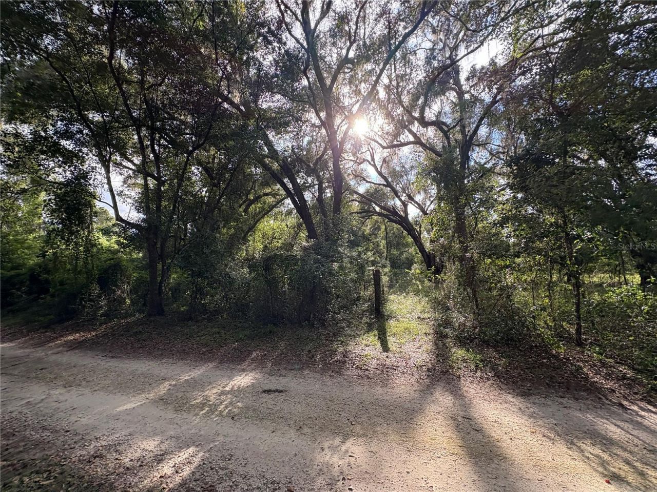 Lucilles Shady Lane, Nobleton, FL 34661 Photo