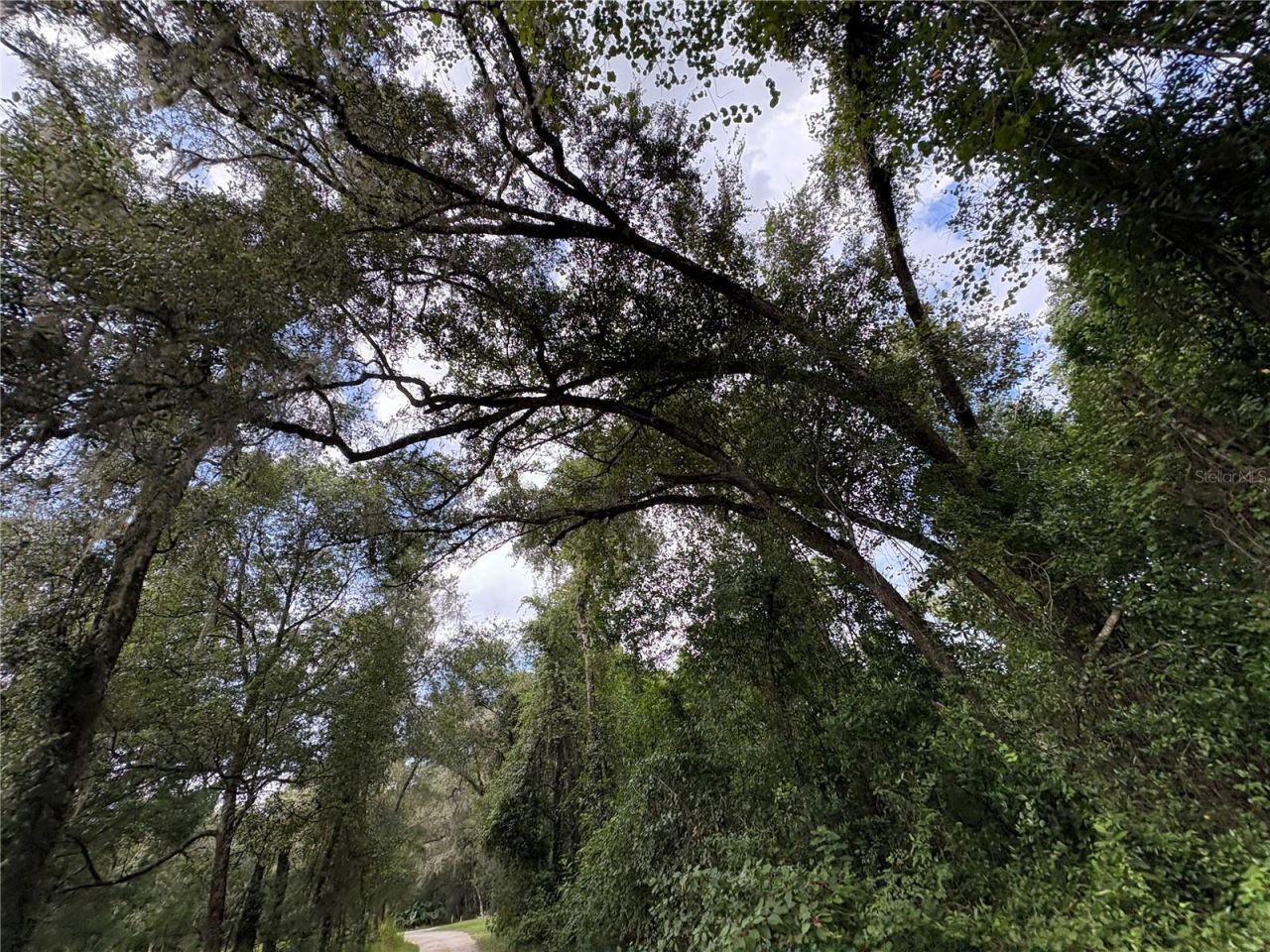 Lucilles Shady Lane, Nobleton, FL 34661 Photo