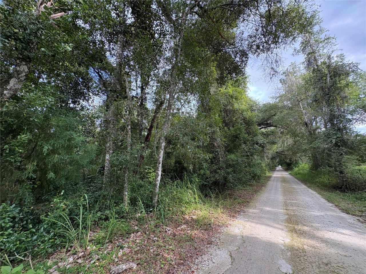 Lucilles Shady Lane, Nobleton, FL 34661 Photo
