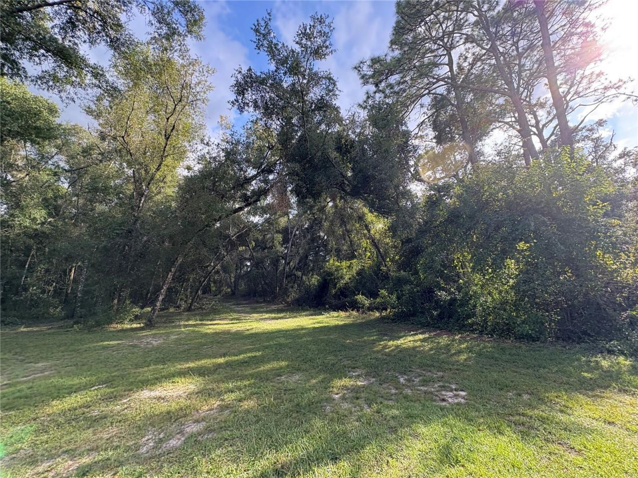 Lucilles Shady Lane, Nobleton, FL 34661 Photo