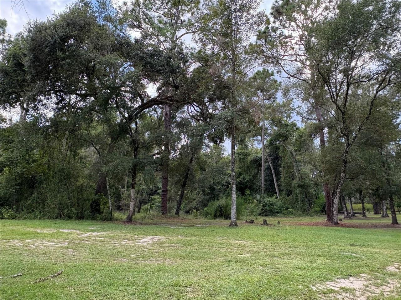 Lucilles Shady Lane, Nobleton, FL 34661 Photo