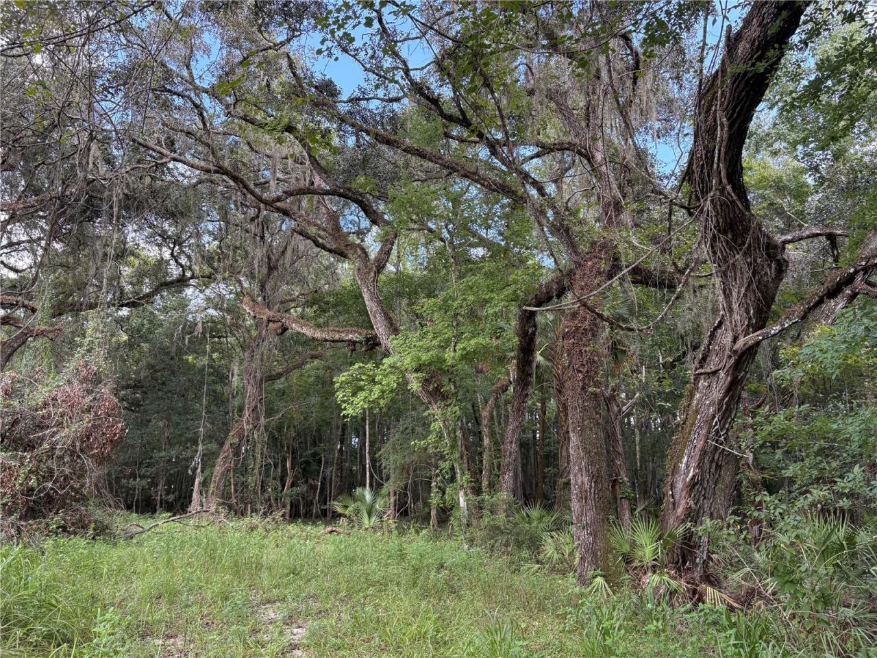 Lucilles Shady Lane, Nobleton, FL 34661 Photo