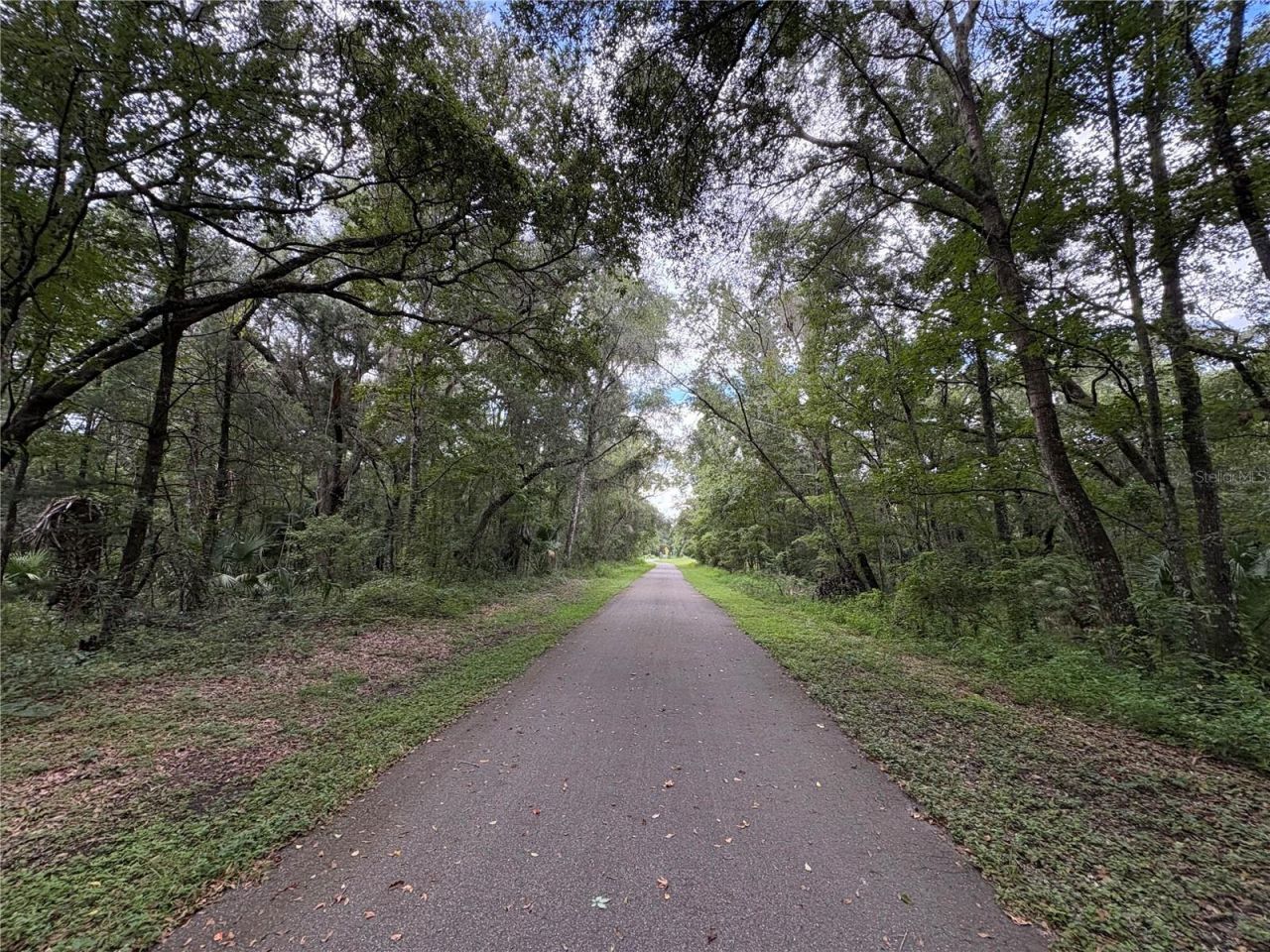 Lucilles Shady Lane, Nobleton, FL 34661 Photo