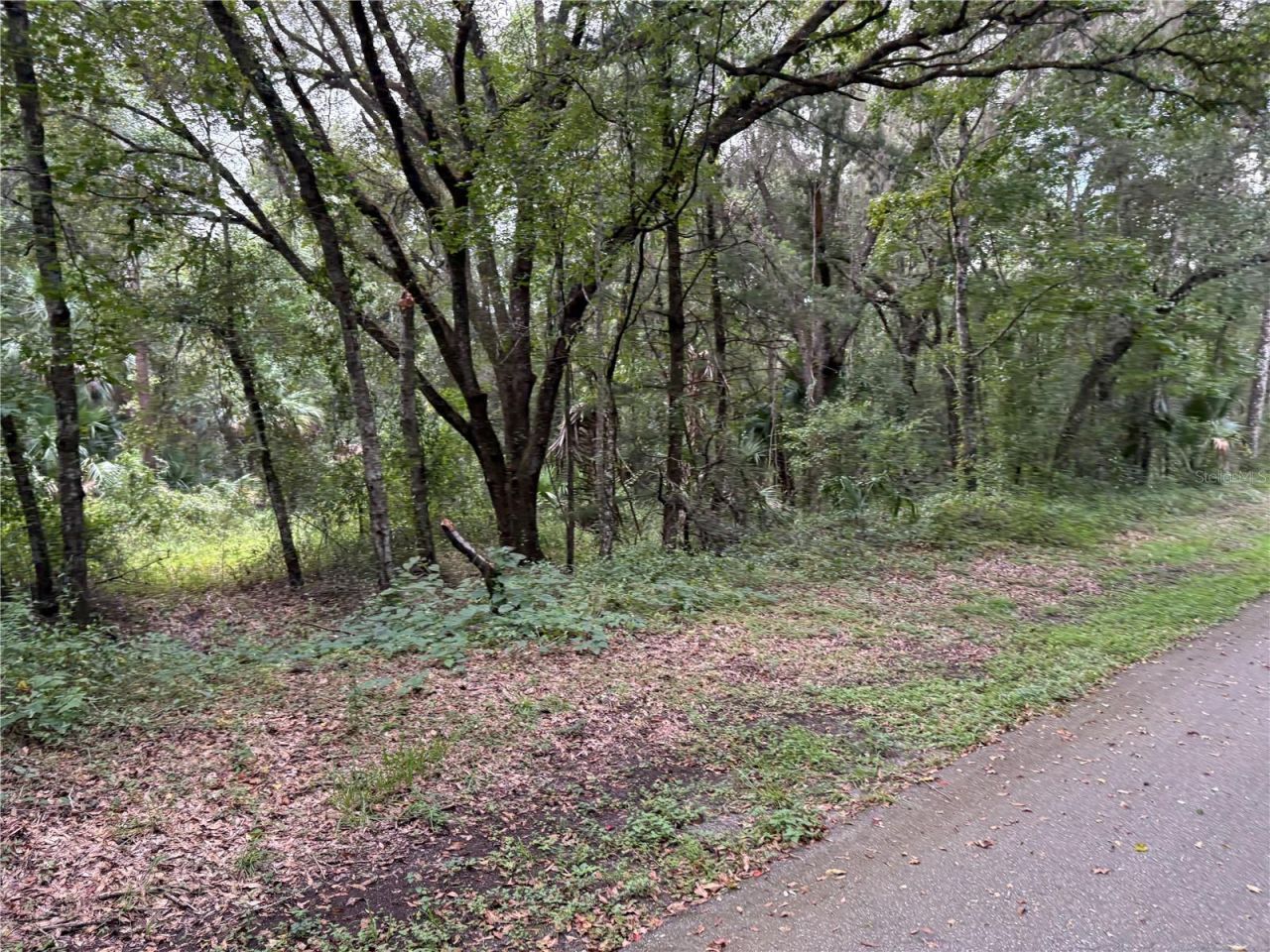 Lucilles Shady Lane, Nobleton, FL 34661 Photo