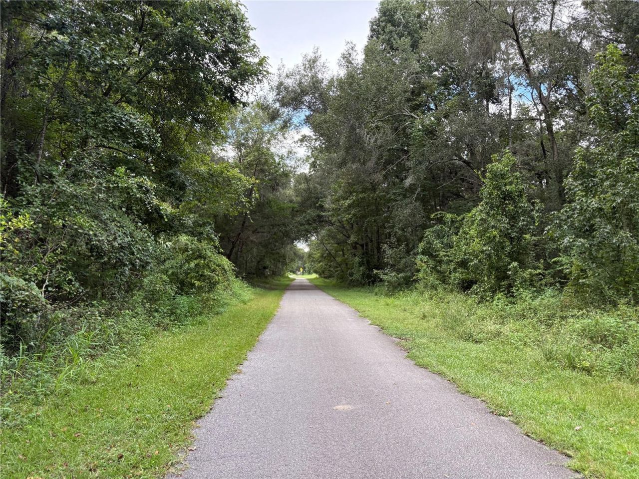 Lucilles Shady Lane, Nobleton, FL 34661 Photo
