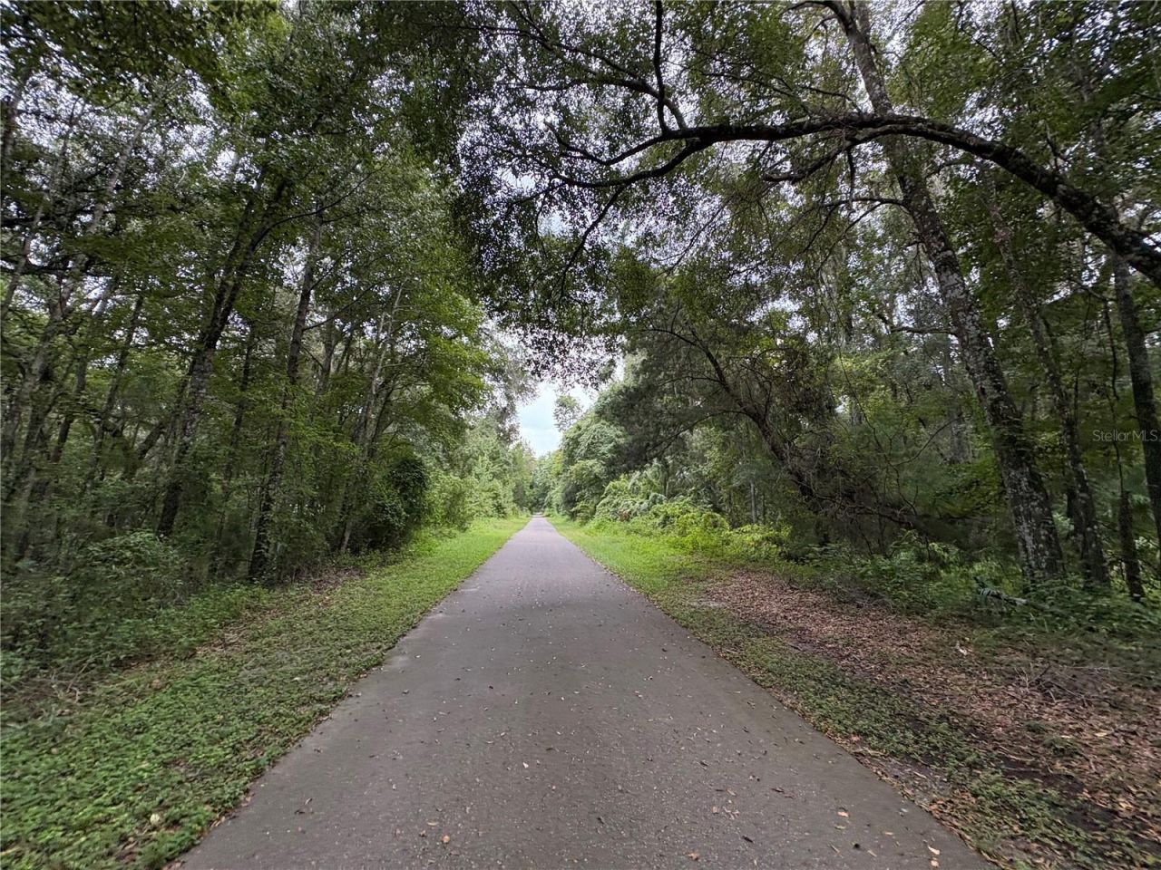 Lucilles Shady Lane, Nobleton, FL 34661 Photo