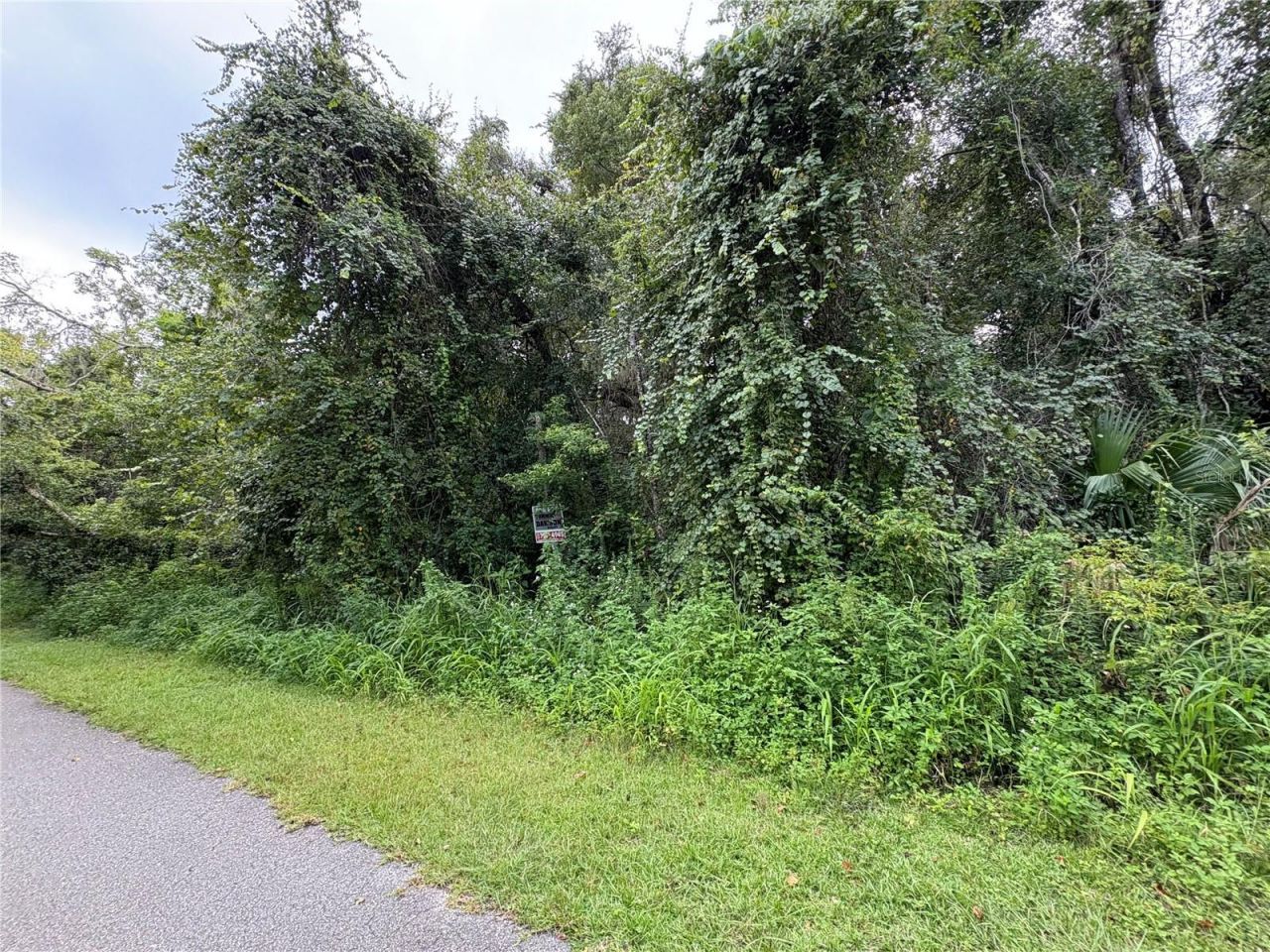 Lucilles Shady Lane, Nobleton, FL 34661 Photo