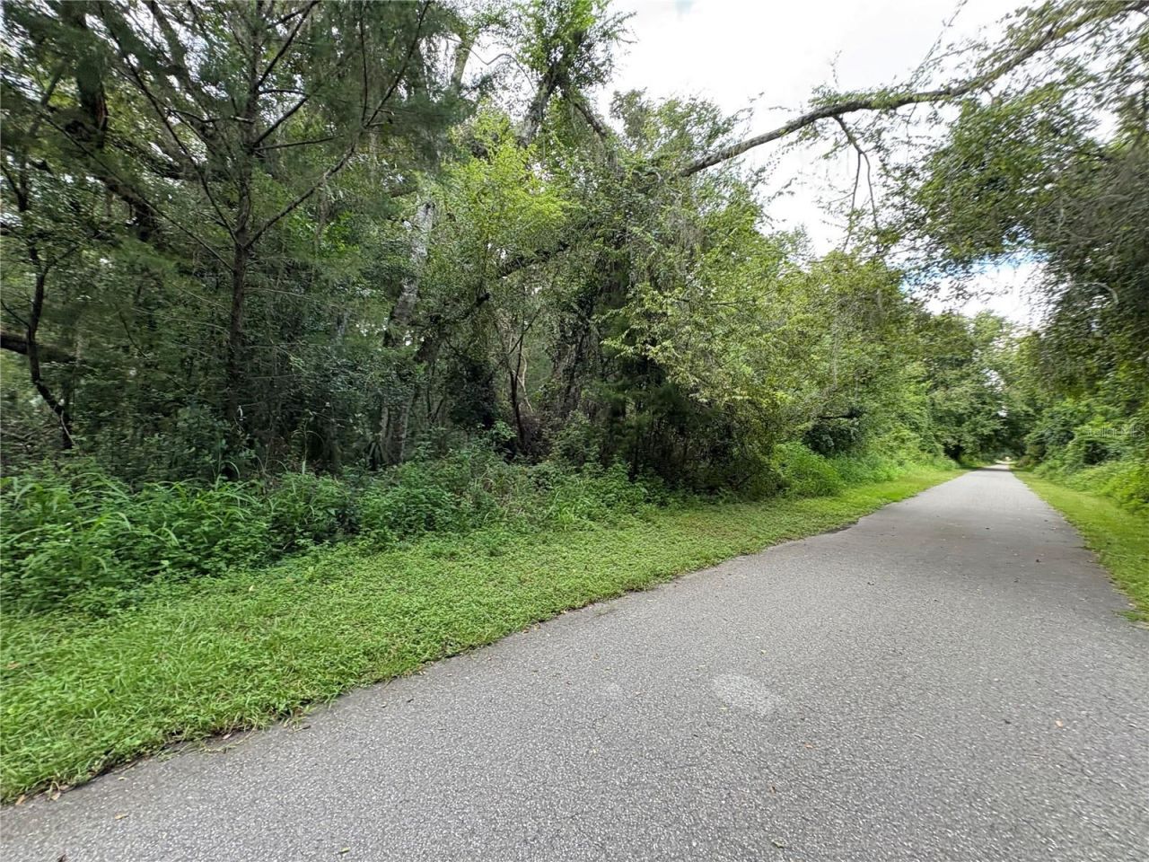 Lucilles Shady Lane, Nobleton, FL 34661 Photo