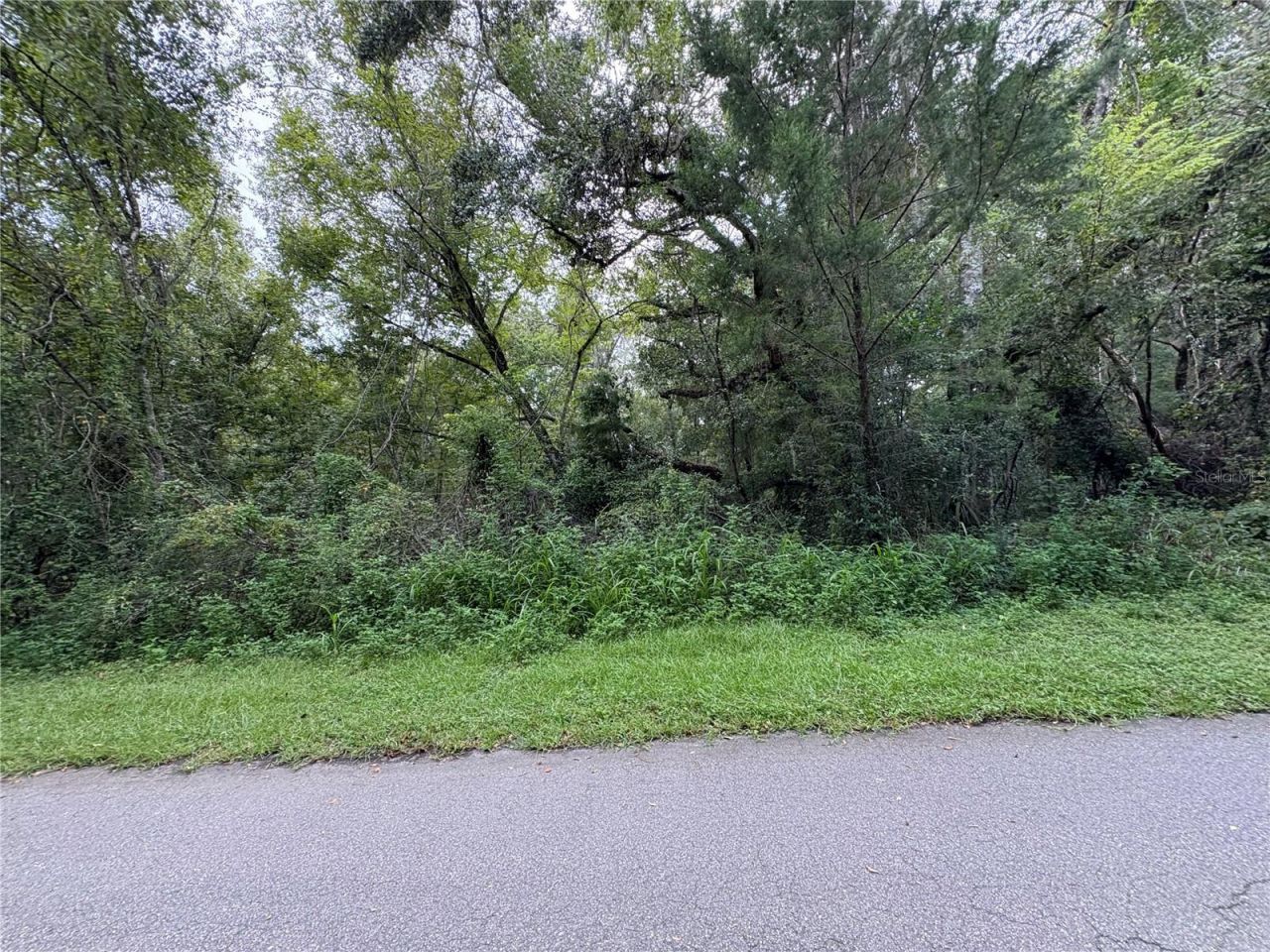 Lucilles Shady Lane, Nobleton, FL 34661 Photo