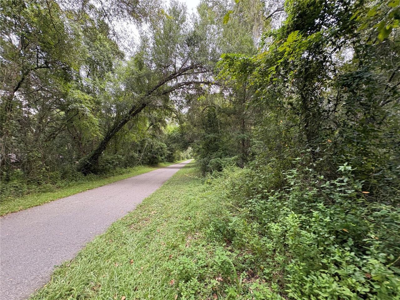 Lucilles Shady Lane, Nobleton, FL 34661 Photo