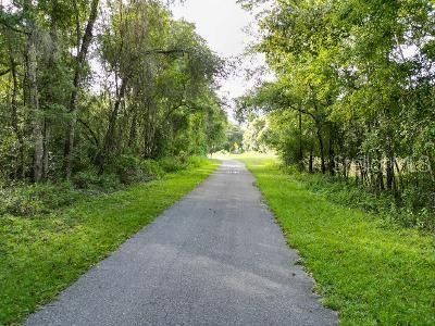 Lucilles Shady Lane, Nobleton, FL 34661 Photo