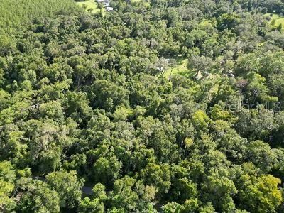 Lucilles Shady Lane, Nobleton, FL 34661 Photo