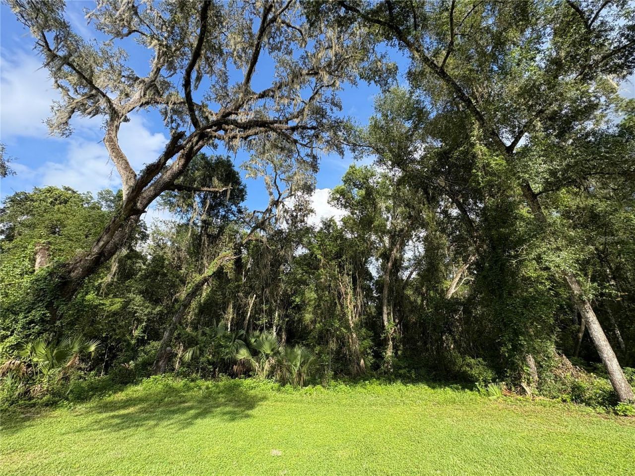 Lucilles Shady Lane, Nobleton, FL 34661 Photo