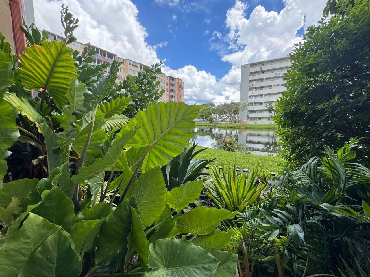 1770 NE 191st Street, Unit 112-1, Miami, FL 33179 Photo