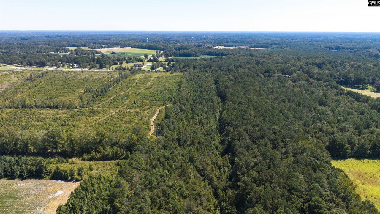 330 Pinecrest Drive Photo 18