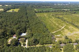 330 Pinecrest Drive photo 4