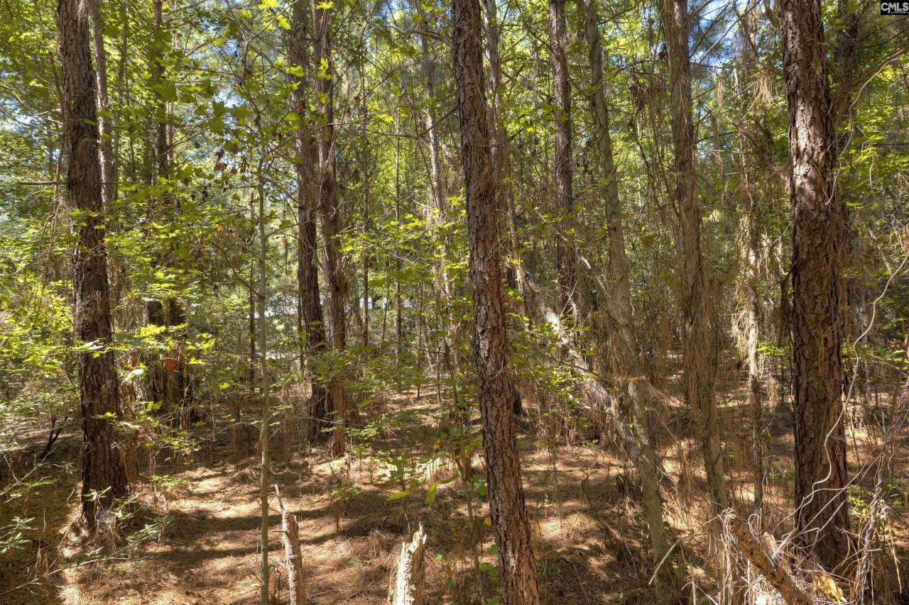 330 Pinecrest Drive Photo 27