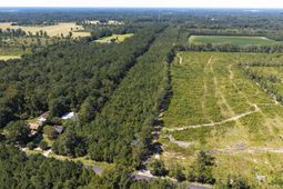 330 Pinecrest Drive photo 4