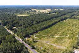 330 Pinecrest Drive photo 4