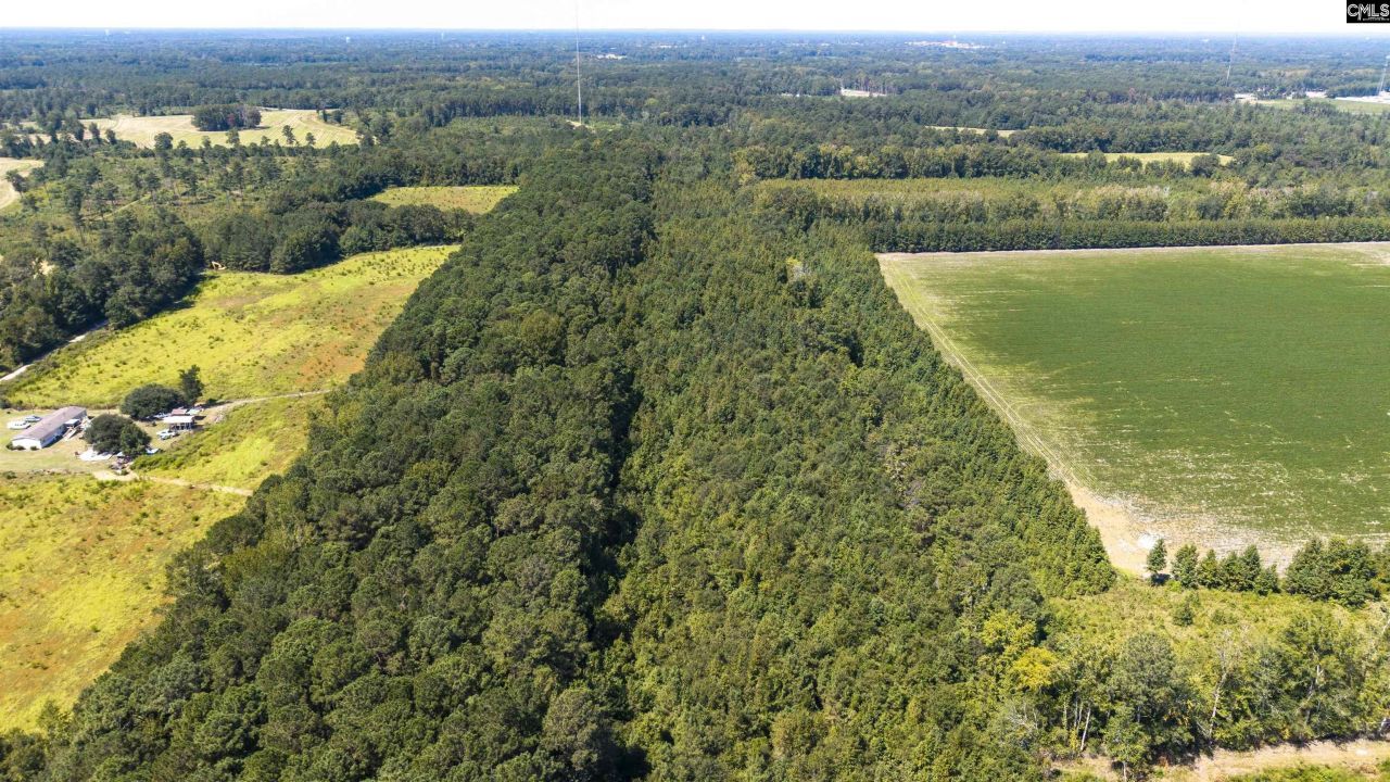 330 Pinecrest Drive Photo 8