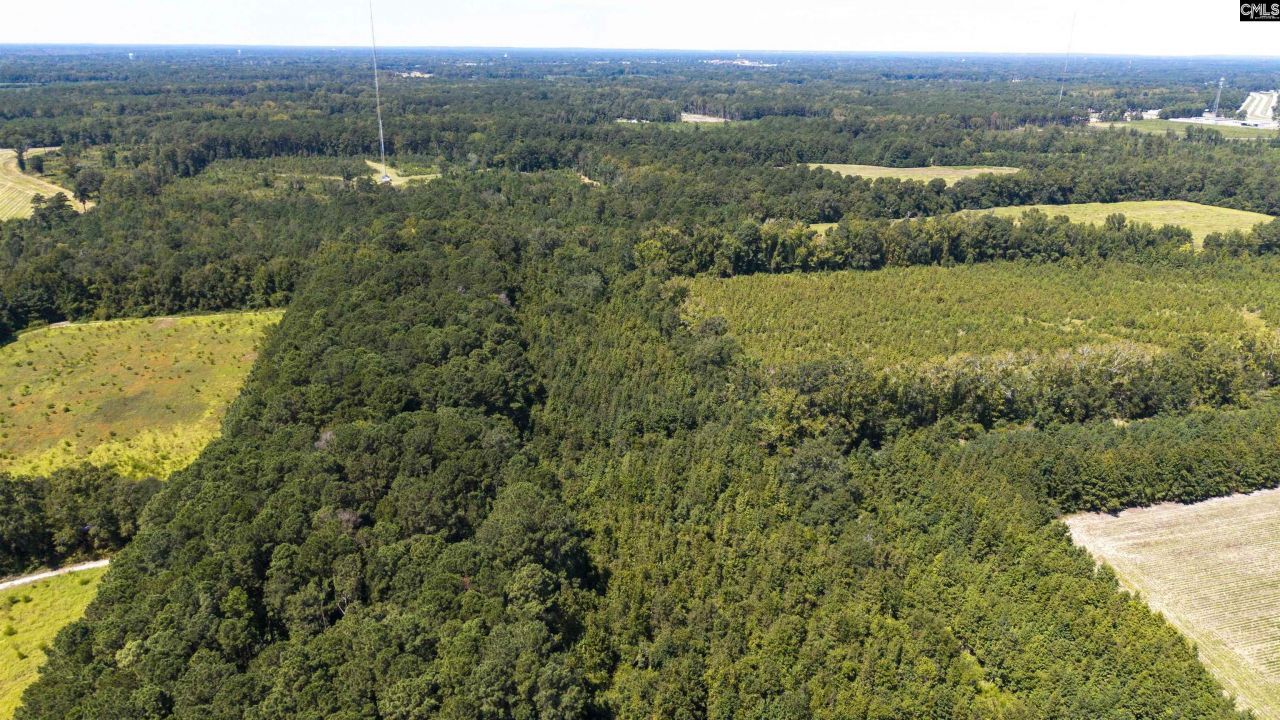 330 Pinecrest Drive Photo 9