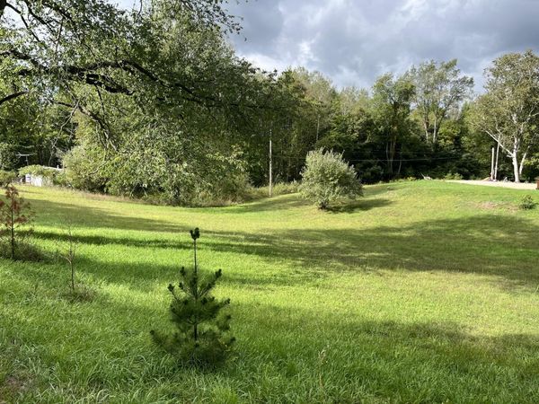 15175 Hanna Avenue NE, Cedar Springs, MI 49319