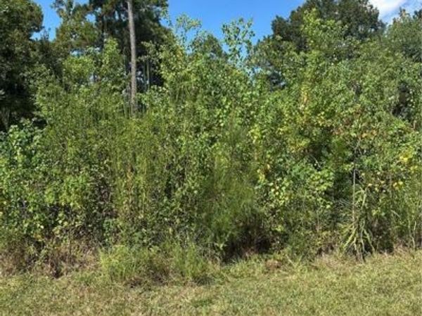 114 SPARTAN Loop, Slidell, LA 70458