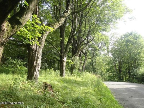 Tbd Henry Road, Cragsmoor, NY 12420