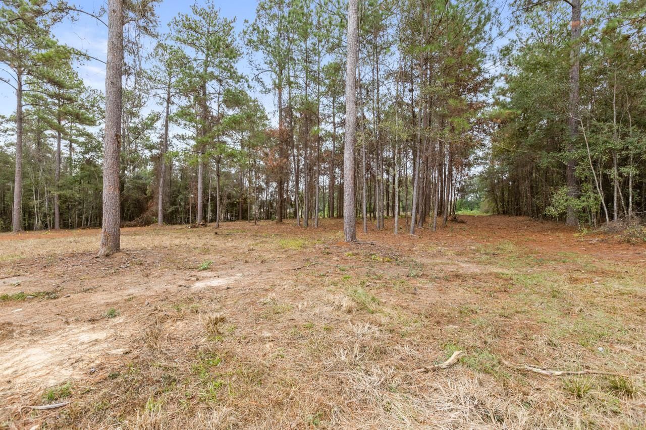 81 Old Tung Grove Road, Monticello, FL 32344 Photo